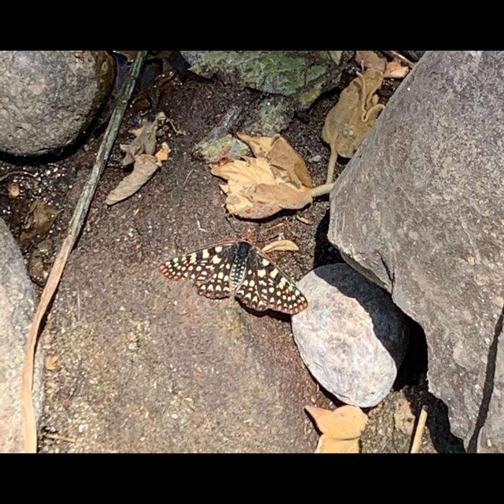 Information - Picture 2 of 2